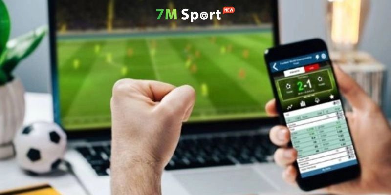 Nhiều người hâm mộ đã gắn bó cùng 7M 7MCN 7M CN hàng thập kỷ Nhiều người hâm mộ đã gắn bó cùng 7M 7MCN 7M CN hàng thập kỷ